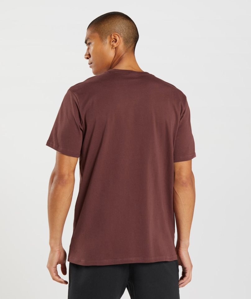 Men's Gymshark Sharkhead Infill T-Shirts Brown | CA D3N061